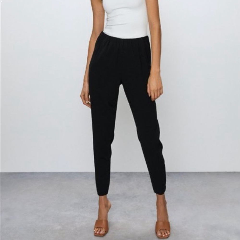 Aritzia Babaton dress joggers